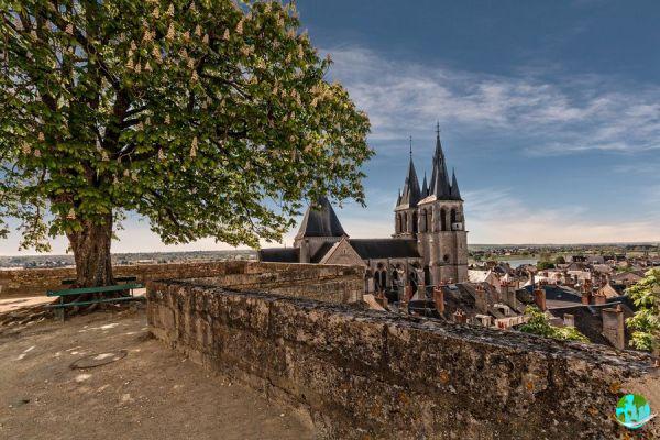 Visite os castelos do Loire