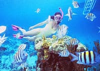 Aventura de mergulho com snorkel nas Bahamas saindo de Nassau