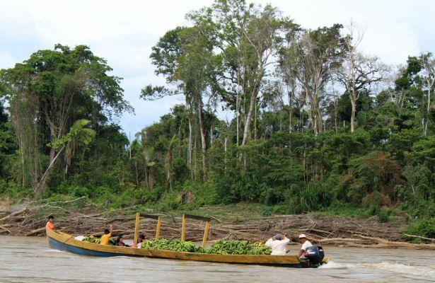 Clima en Rurrenabaque: cuando ir