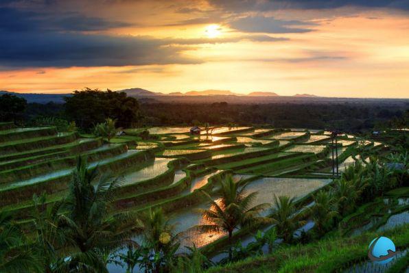 Viagem a Bali: o guia para ler antes de sair