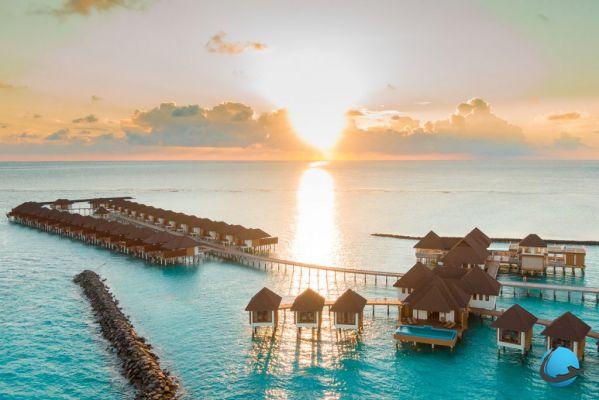 Why go to the Maldives? The postcard becomes reality!