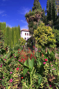 Viagem de um dia a Granada incluindo Alhambra e Jardins Generalife saindo de Sevilha