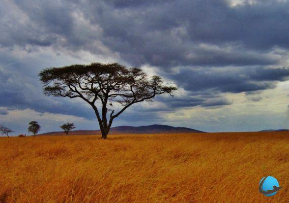 Why choose Tanzania? When nature rhymes with culture ...