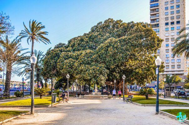 Visita Alicante: ¿Qué ver y hacer en Alicante?