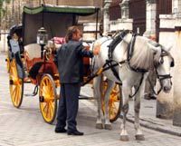 Tour privado a caballo por Sevilla