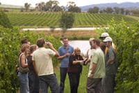 Recorrido vinícola de lujo por el valle de Yarra para grupos pequeños desde Melbourne