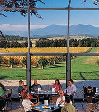 Small-Group Luxury Yarra Valley Wine Tour from Melbourne