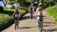 Valle del vino de Constantia: tour en bicicleta por Ciudad del Cabo