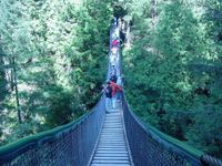 Excursão ecológica para grupos pequenos em Vancouver